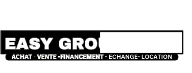 Easy Auto Group